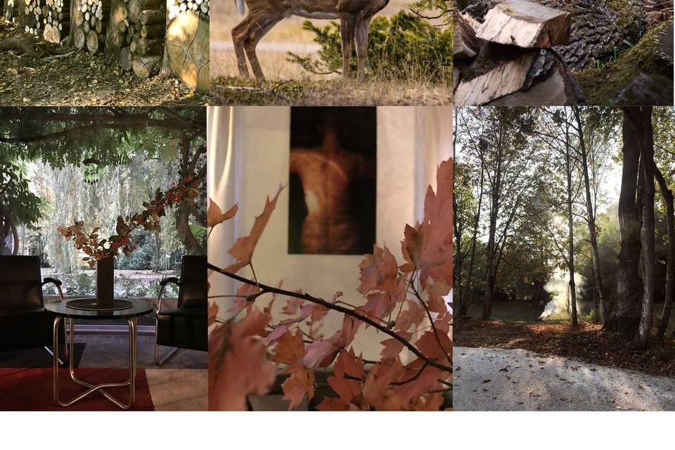 Couleurs d'automne