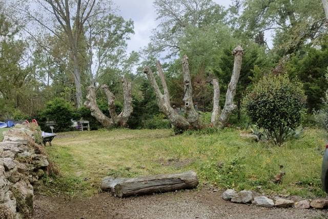 Vue du jardin en entrant