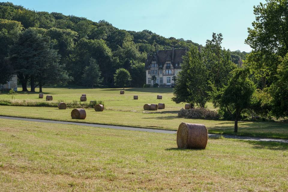 Vue sur le château
