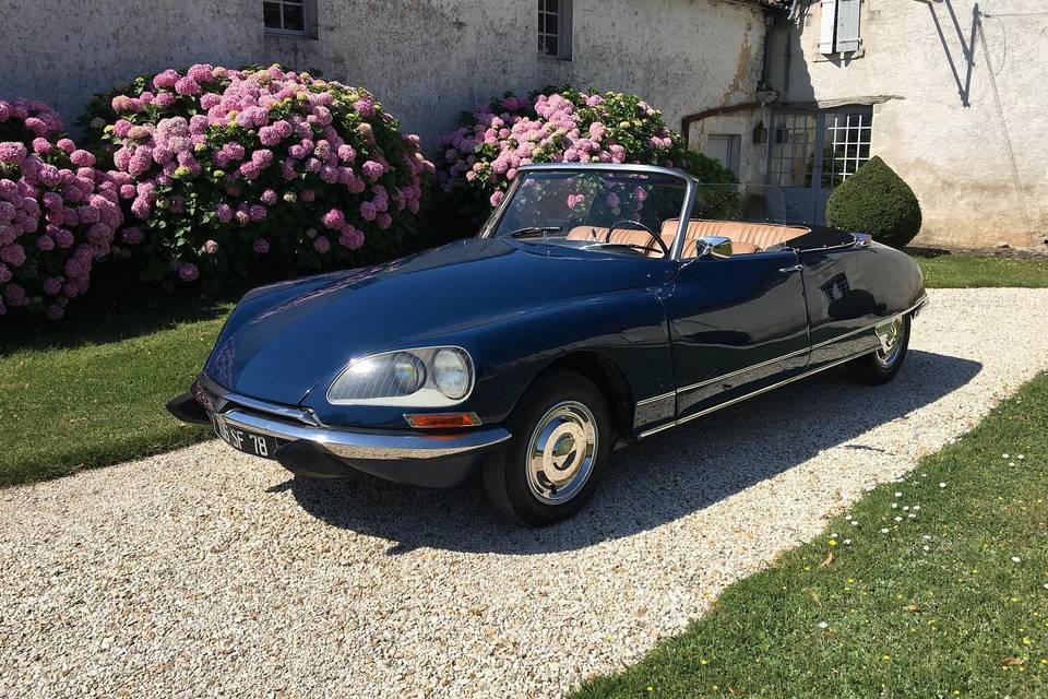 Voiture cour