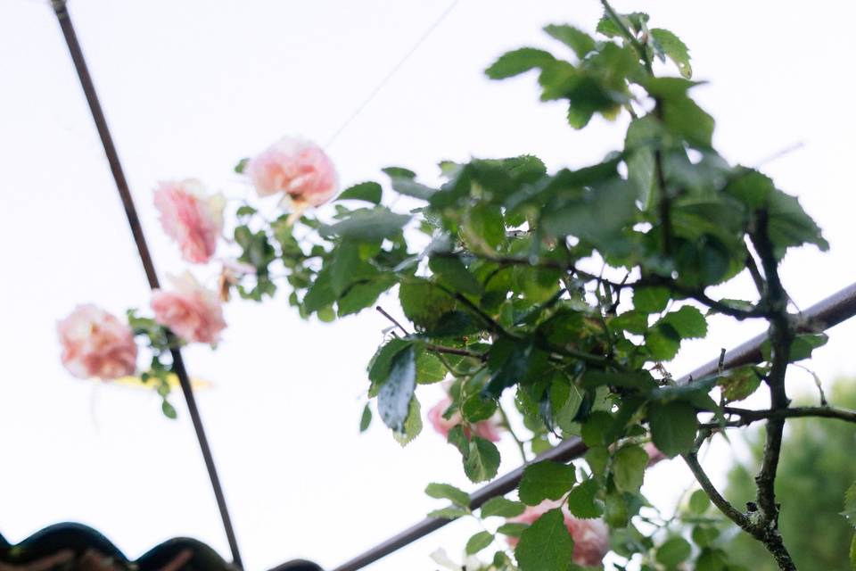 Fleur