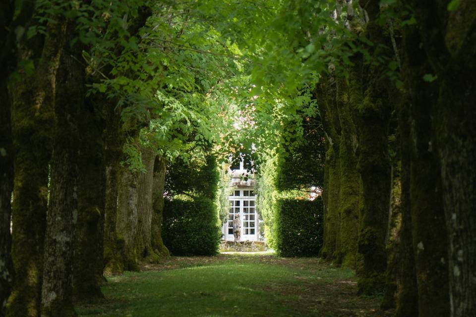 Allée voiture