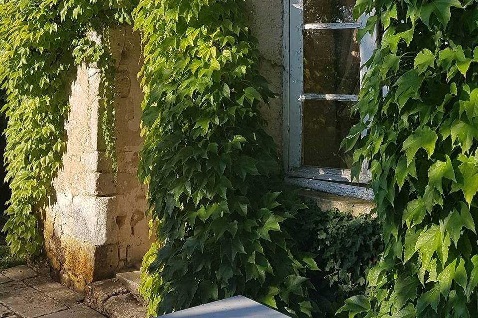 Facade jardin