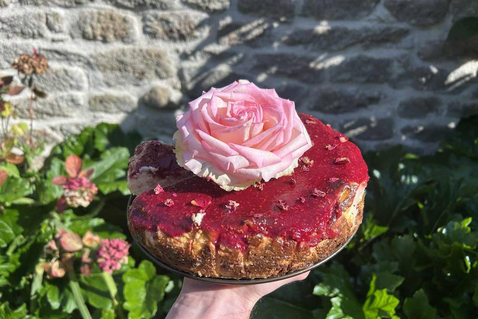 Cheese-cake framboise-rose