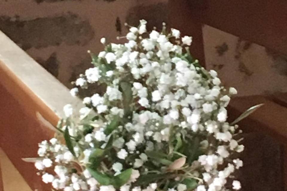 Gypsophile et olivier