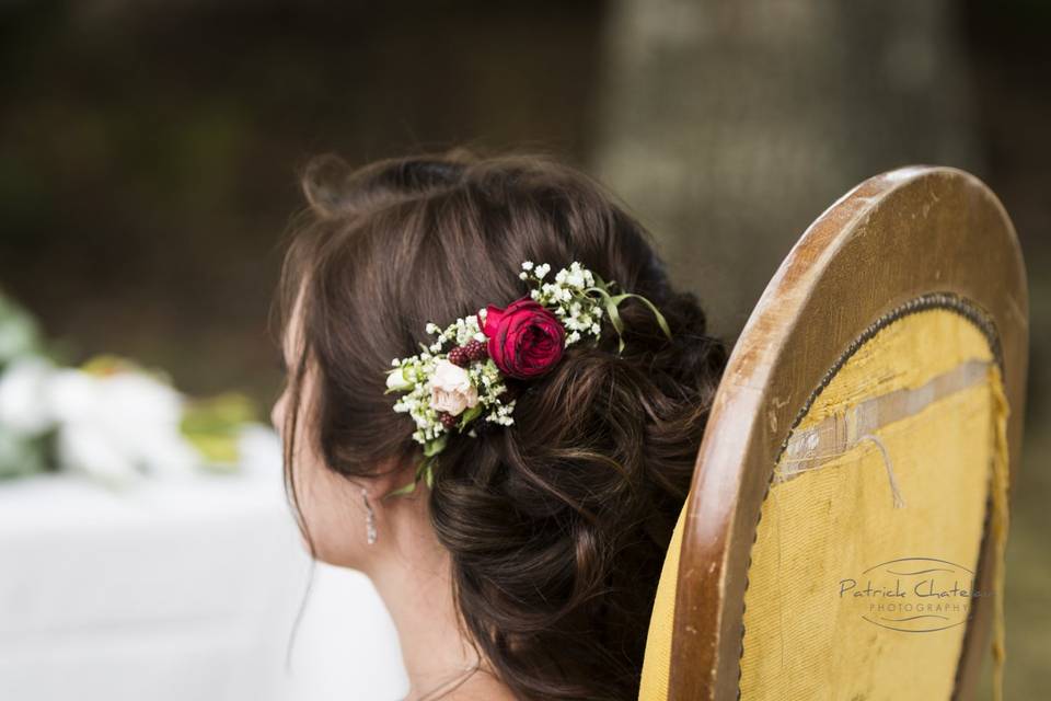 Coiffure d'emilie