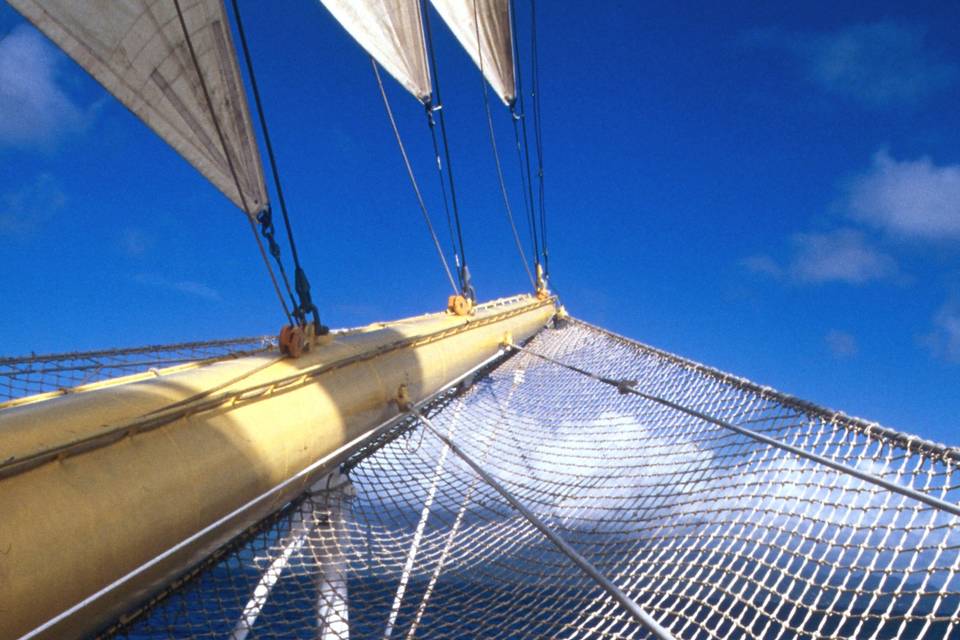 MEDIA VOYAGES