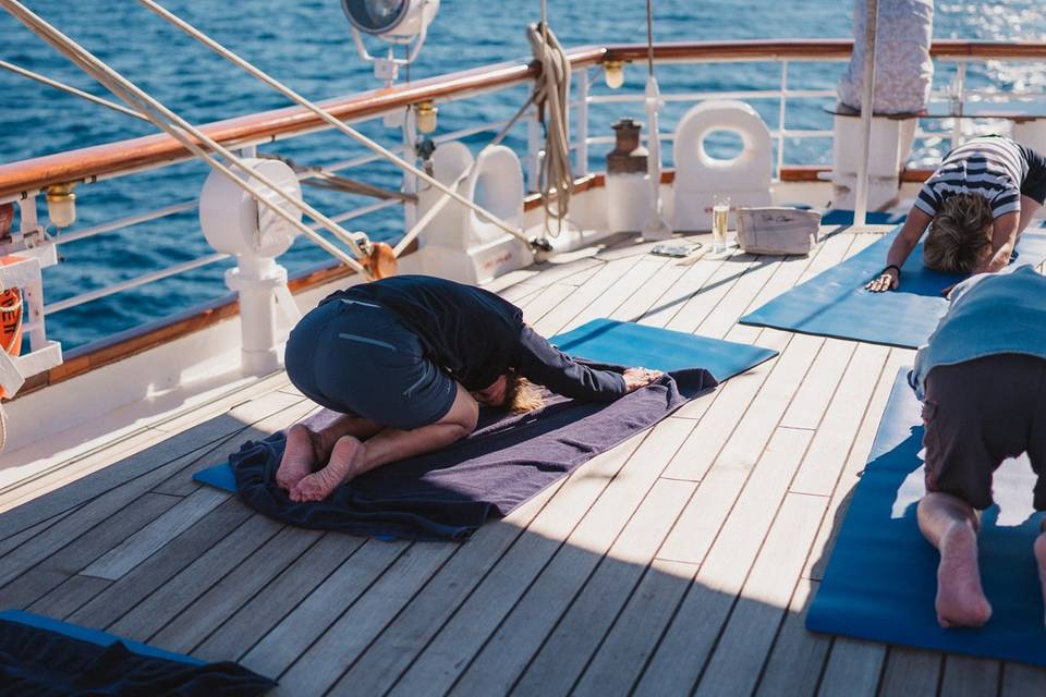 MEDIA VOYAGES