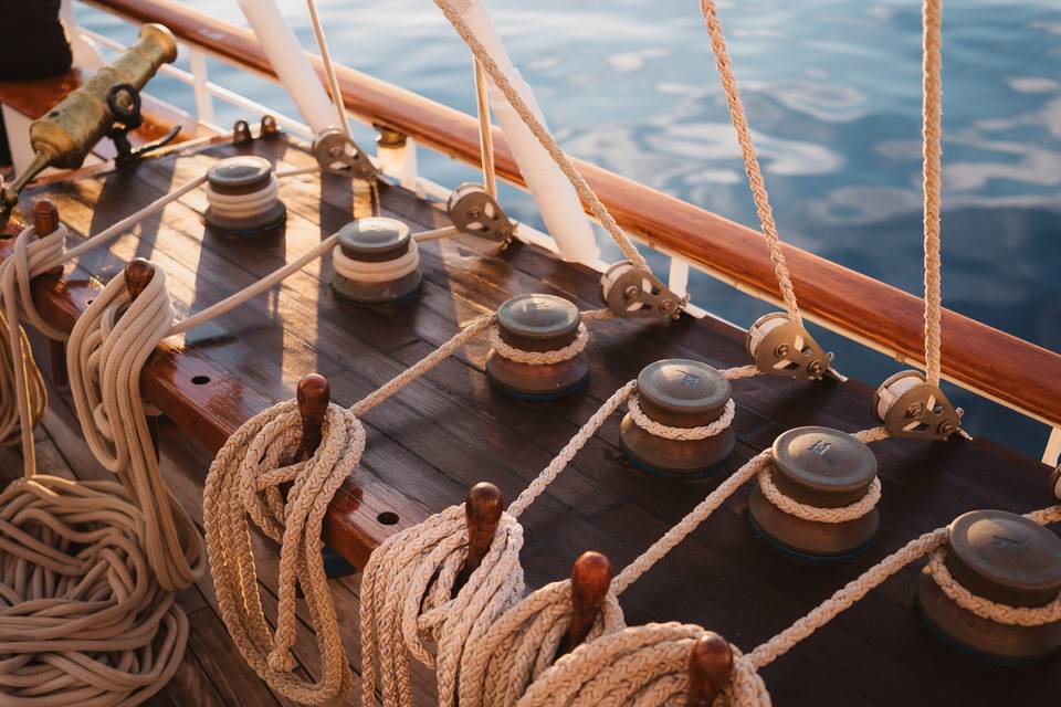 MEDIA VOYAGES