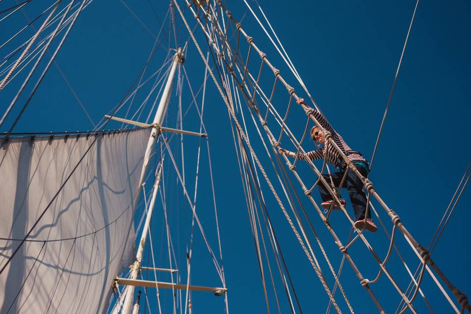 MEDIA VOYAGES