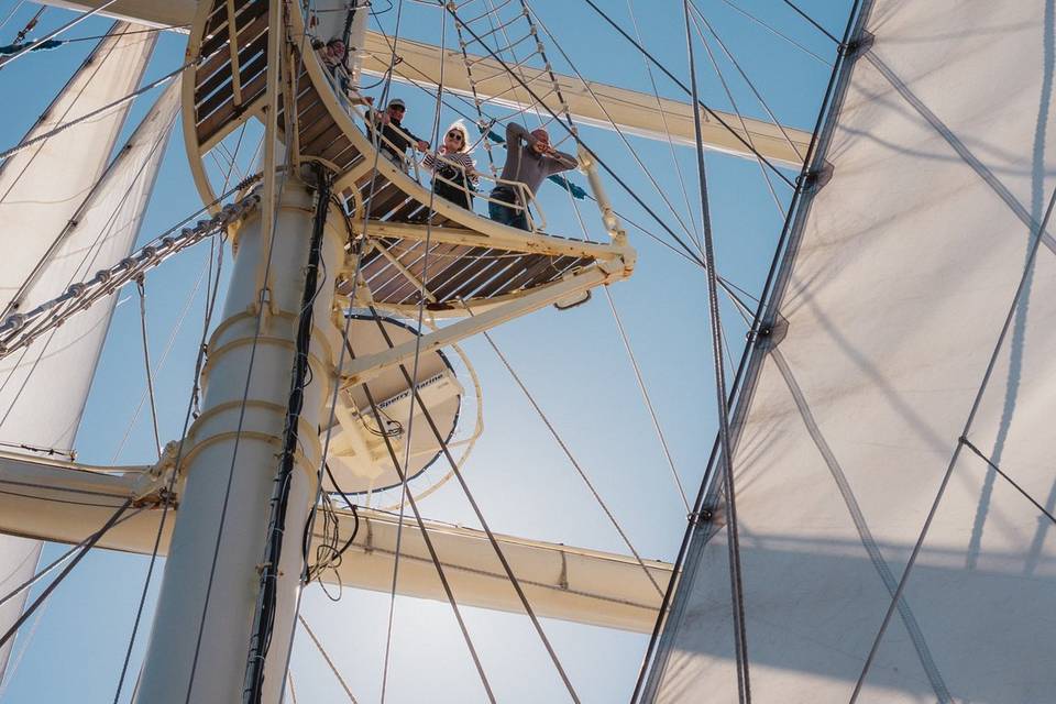 MEDIA VOYAGES