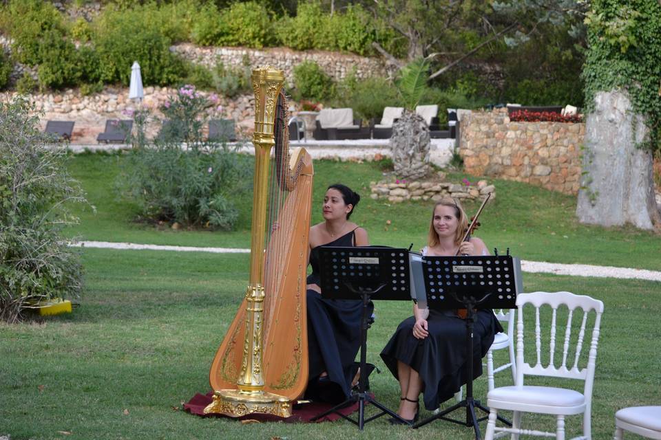 Lady's Orchestra