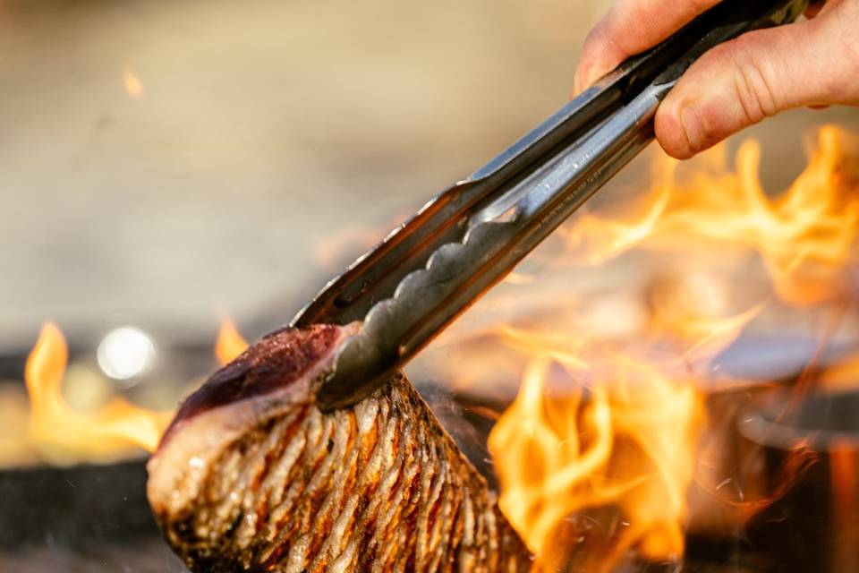 Magret de canard