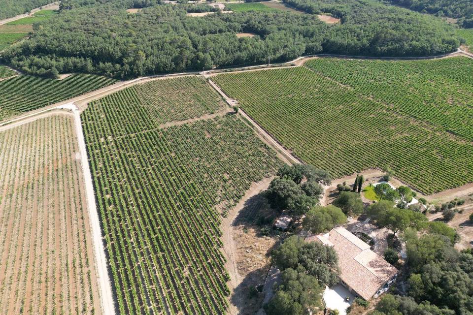 Le domaine et ses vignes