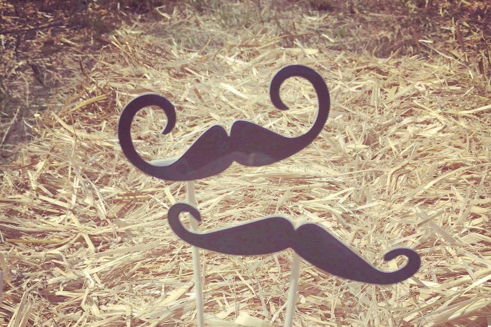 Mr et Mme Moustache