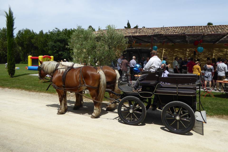 Arrivée en calèche