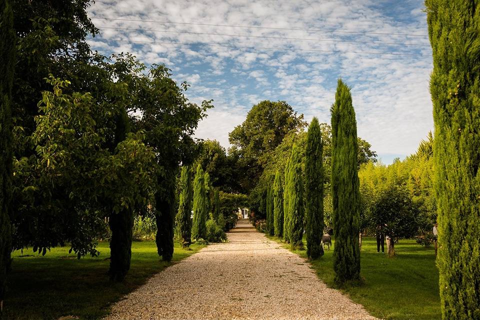 Château Latour Segur Suites & Spa