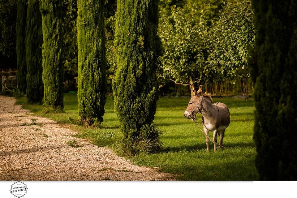 Château Latour Segur Suites & Spa