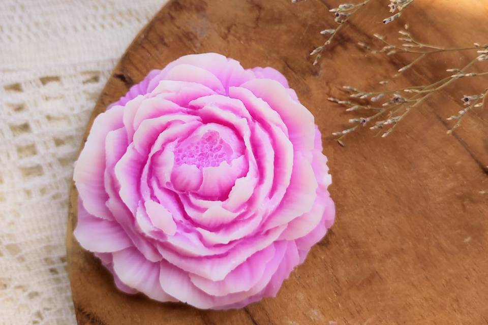 Pivoine parfumée