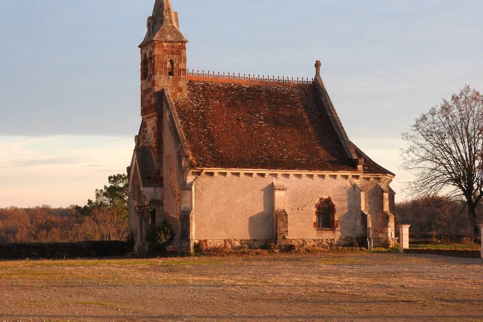 Allée de marronniers