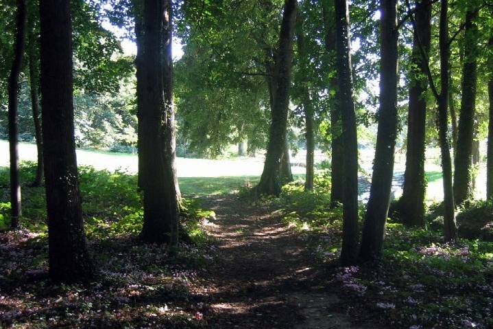 Le parc et ses Bois