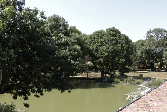 L'étang du Domaine