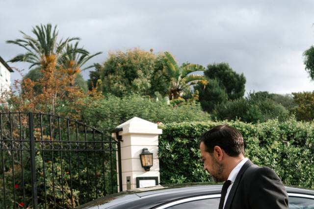 Chauffeur professionnel