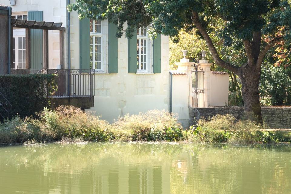 Au bord de l'étang