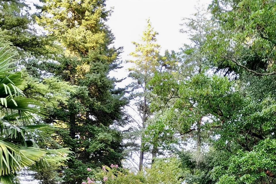 Jardin - Cérémonie