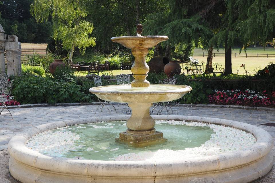 Fontaine de pétales