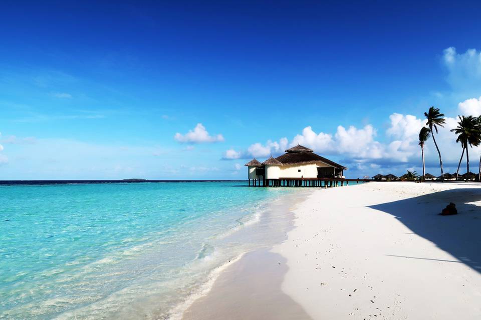 Lune de Miel aux Maldives