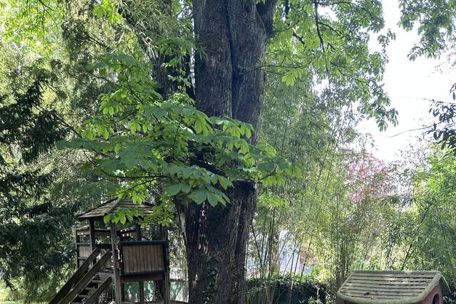 Jardin