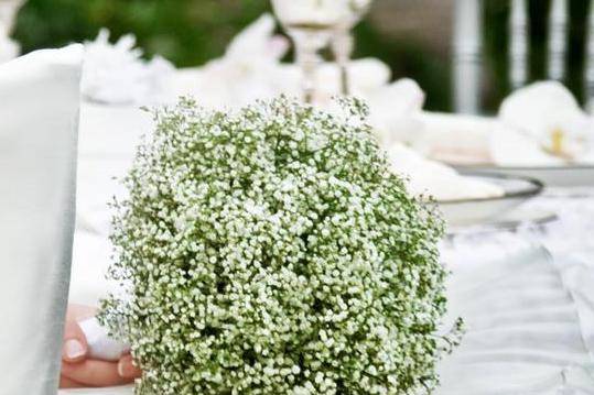 Bouquet de mariée Gypsophile