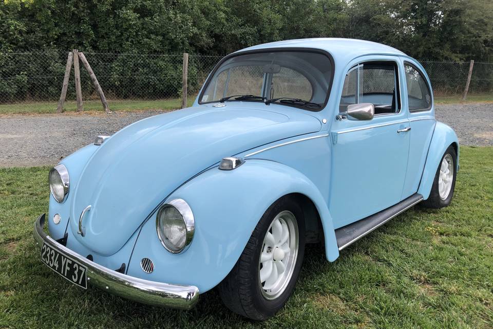 VW Cox bleu pâle - 1969