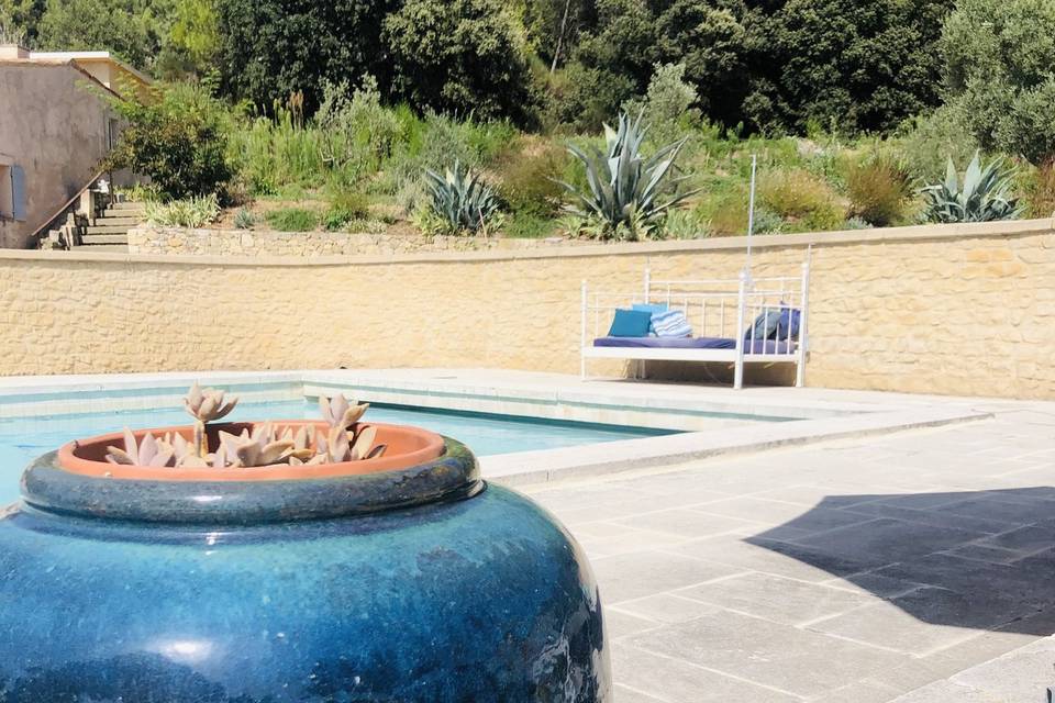 Piscine vue sur la forêt