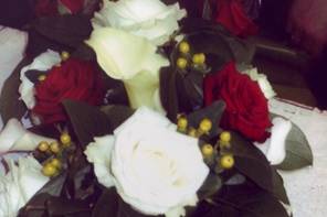 Roses blanches et roses rouges