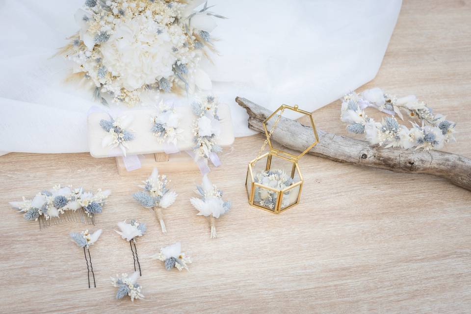 Collection Elsa
