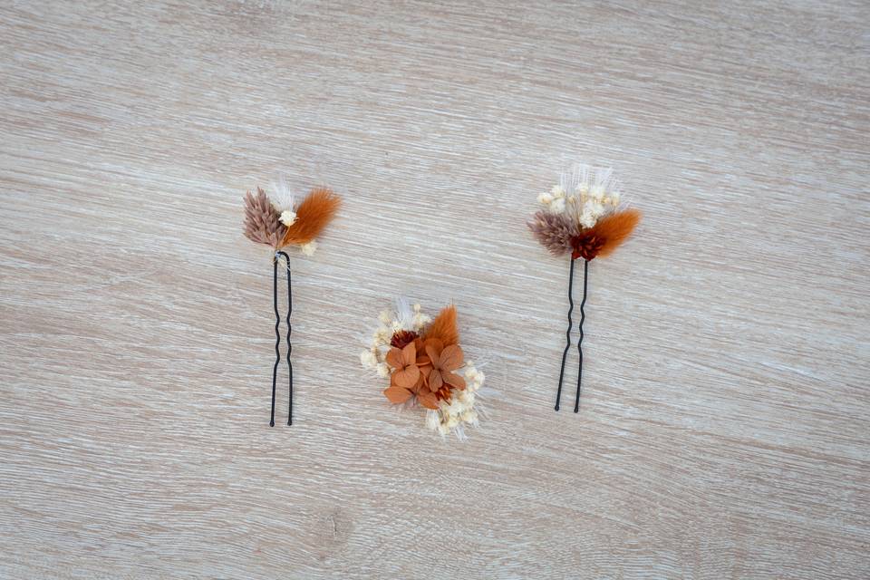 Epingles à chignon Terra