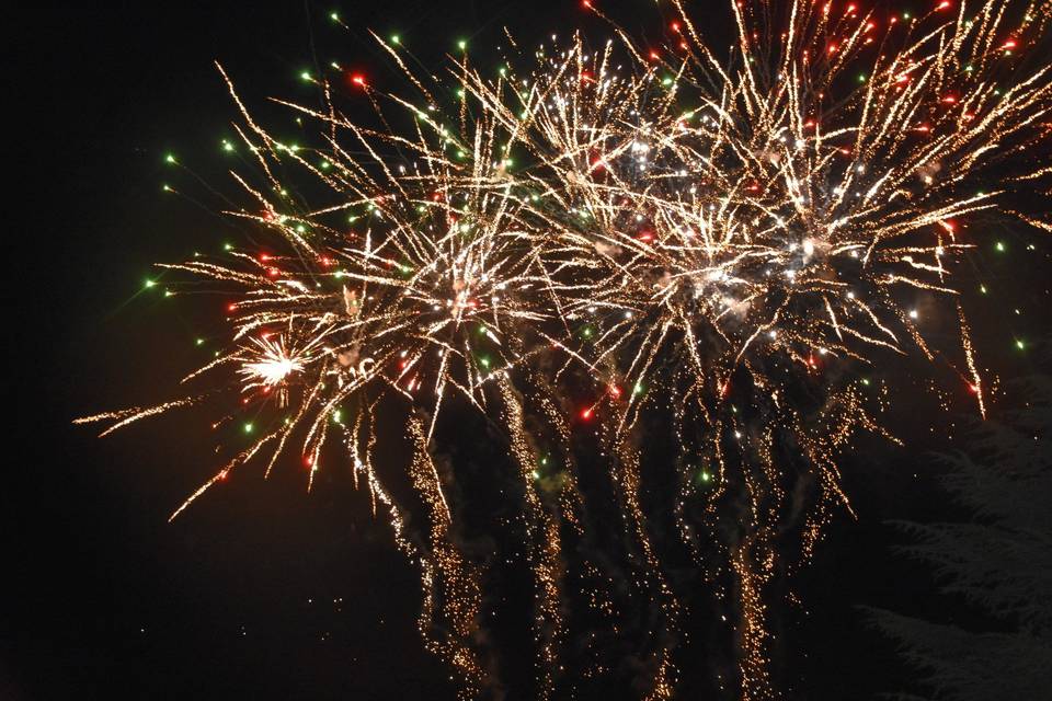Feu d'artifice dans le parc