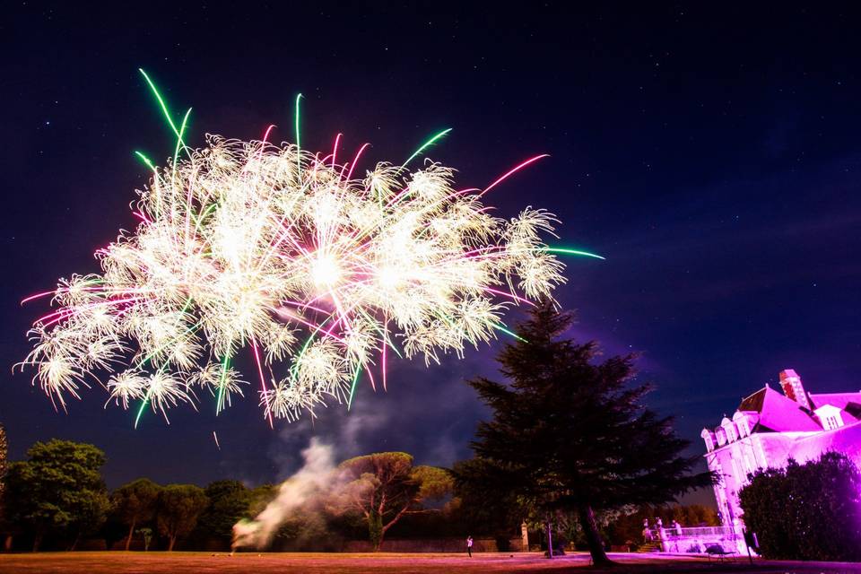 Feu d'artifice dans le parc