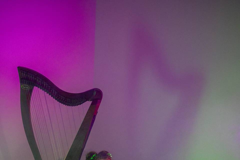 Scénariser la musique