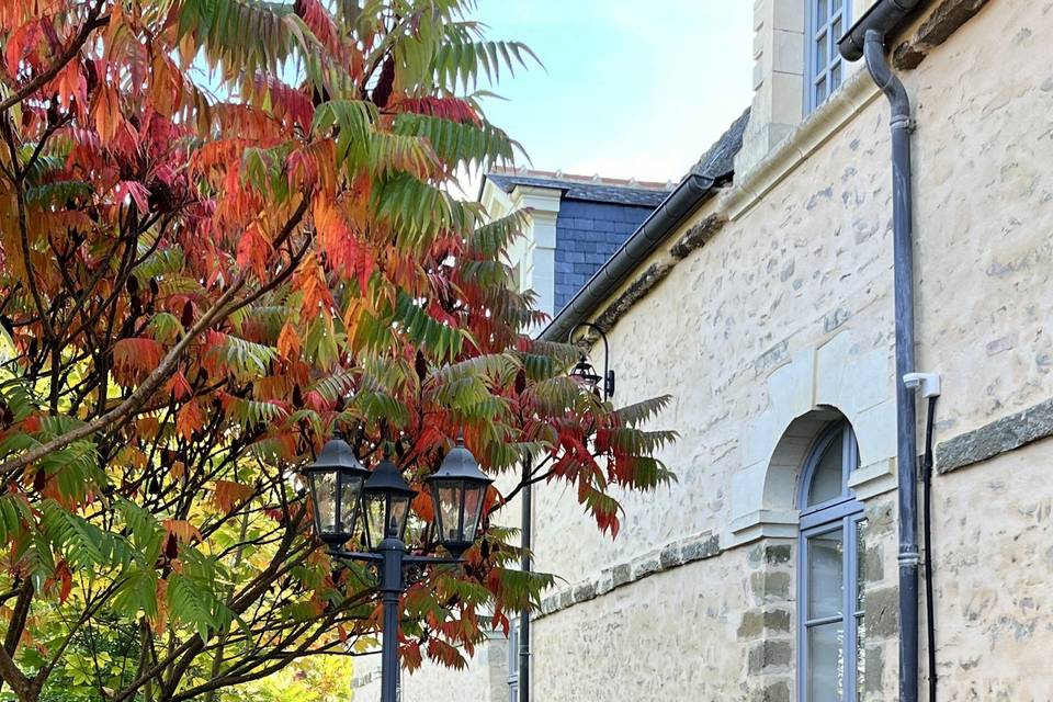 Cour fontaine