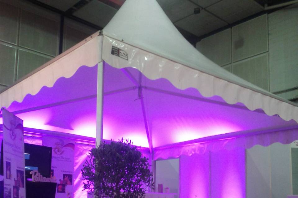 Tentes 5x8m