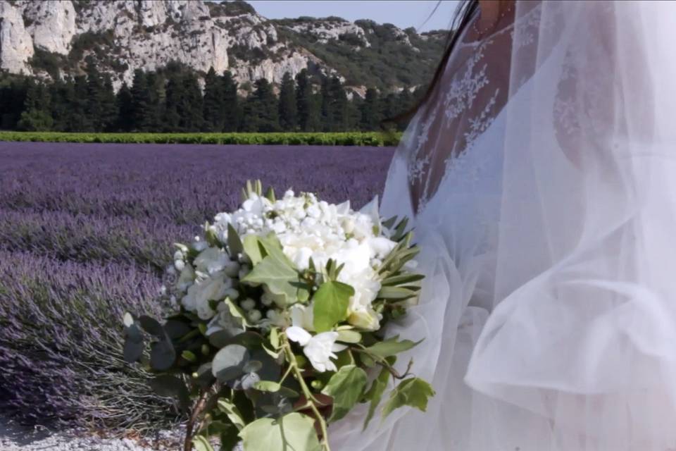 La beauté de la Provence