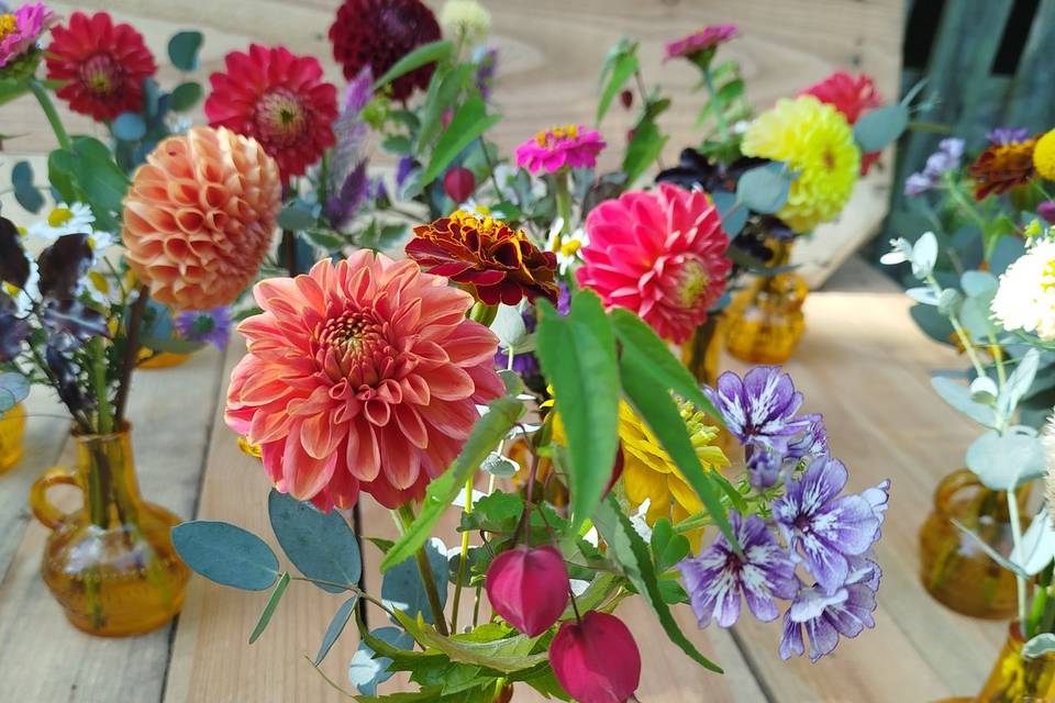 Soliflores