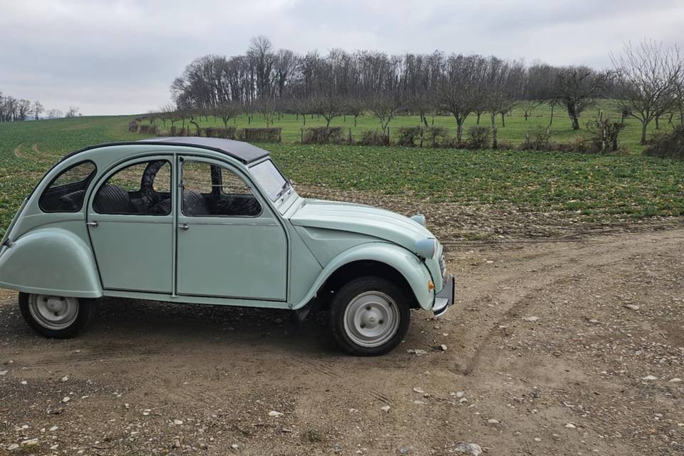 2CV Vert Jade