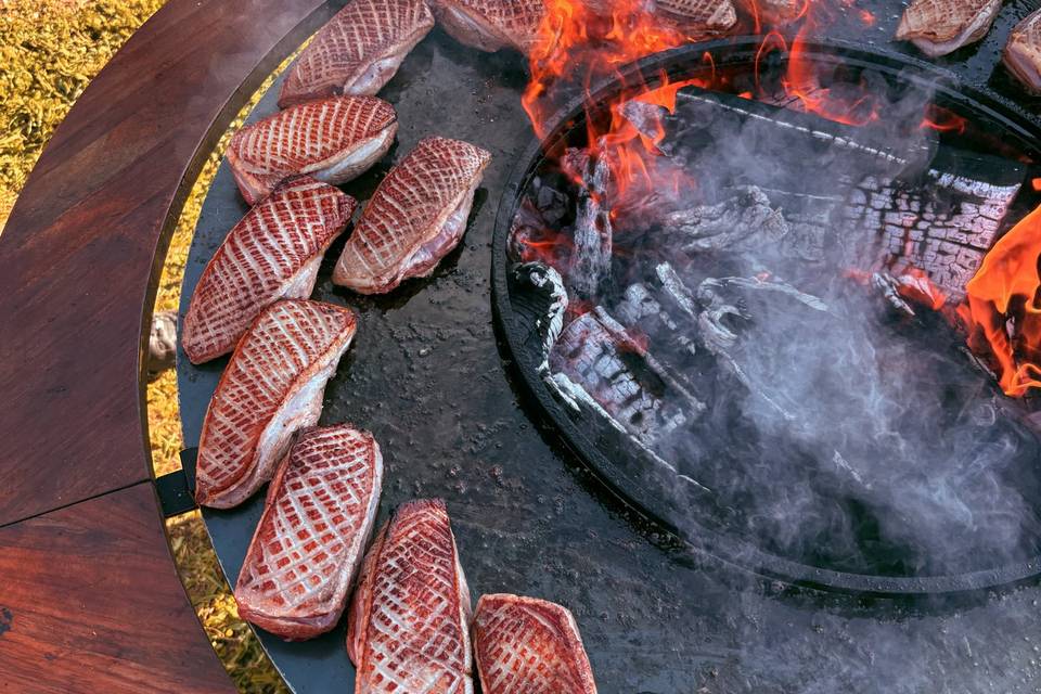 Magret de canard