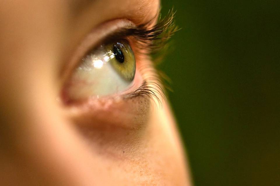 Oeil lumière naturel forêt