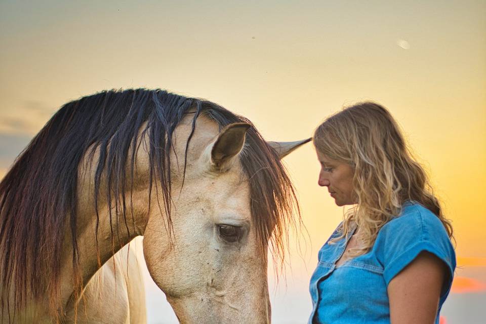 Portrait photo cavaliere