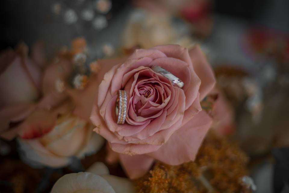 Ayla photography